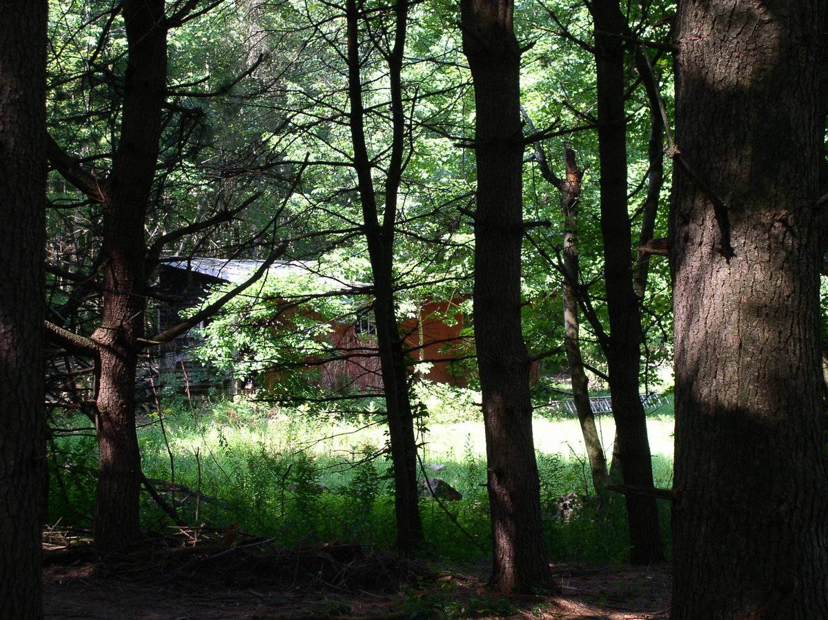 Part 3 of 3 (243 Waterfall Road, Ashford (Eastern Uplands)) Historic