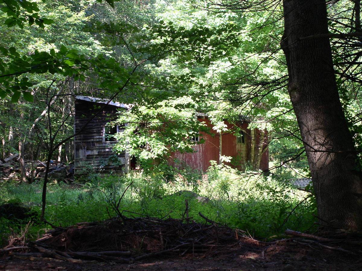 Part 3 of 3 (243 Waterfall Road, Ashford (Eastern Uplands)) Historic