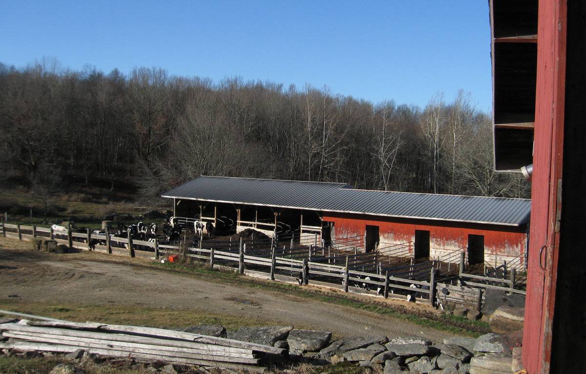 Tom Knowlton Farms 3 of 3 (92 Knowlton Hill Road, Ashford (Eastern