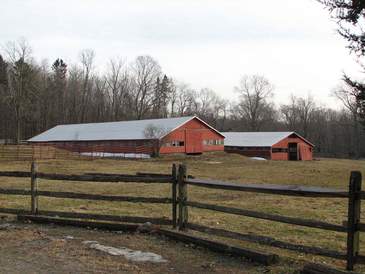 Whitlock Farm Booksellers (20 Sperry Road, Bethany (Western Uplands