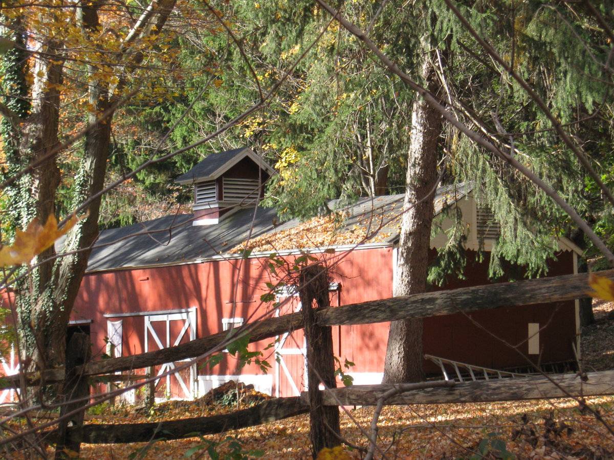 Lewis Lines Property (343 Litchfield Turnpike (Rte 69), Bethany