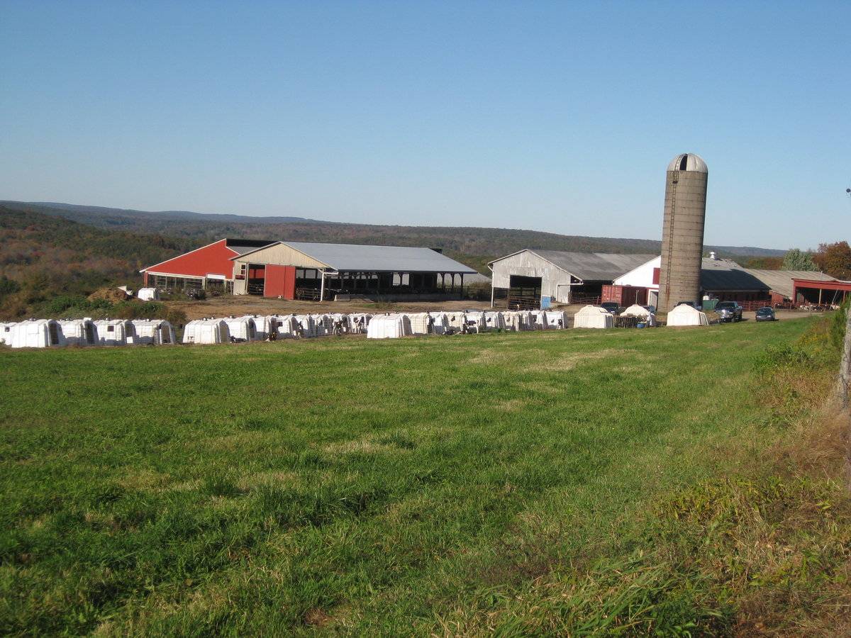 Spielman's (76 Plain Hill Road, Sprague (Eastern Uplands)) Historic