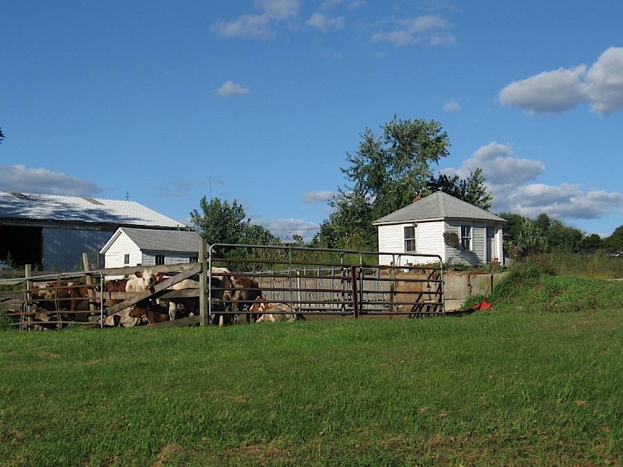 Kingswood Farms (289 Providence Road (Rte 6), Brooklyn (Eastern Uplands