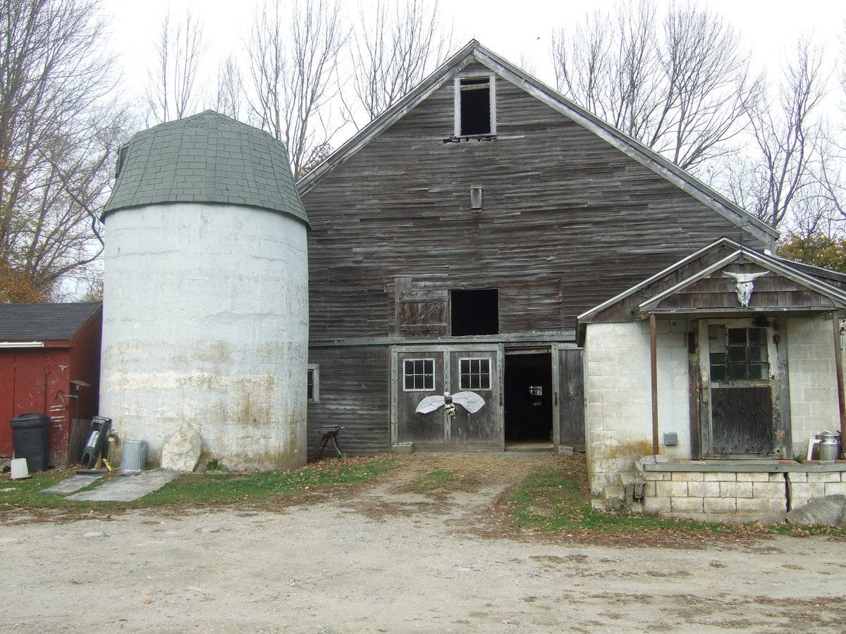 Ojala Part 2 of 2 (12 Gorman Road, Brooklyn (Eastern Uplands