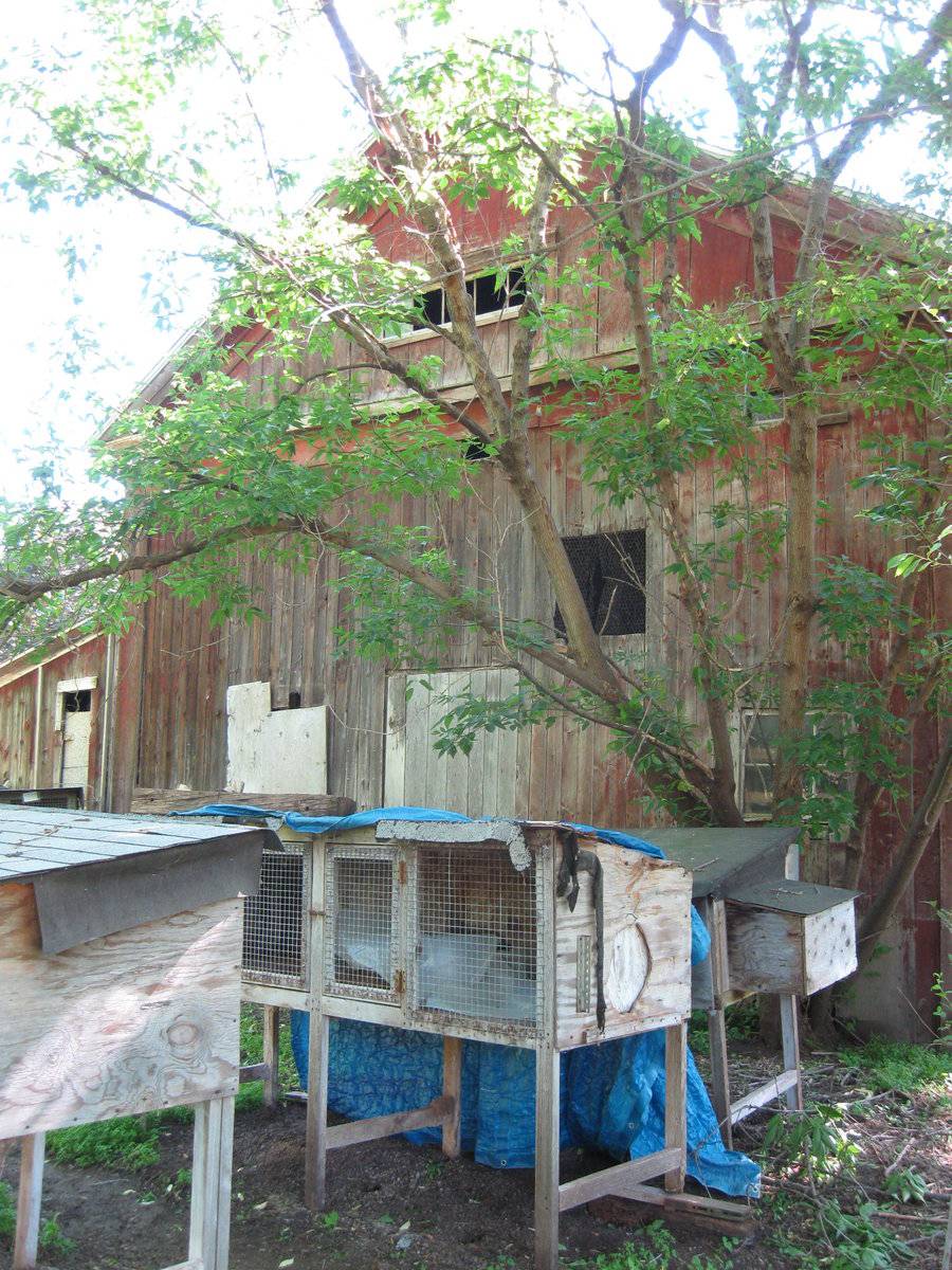 28 Four Rod Road, Berlin (Central Valley) Historic Barns of Connecticut