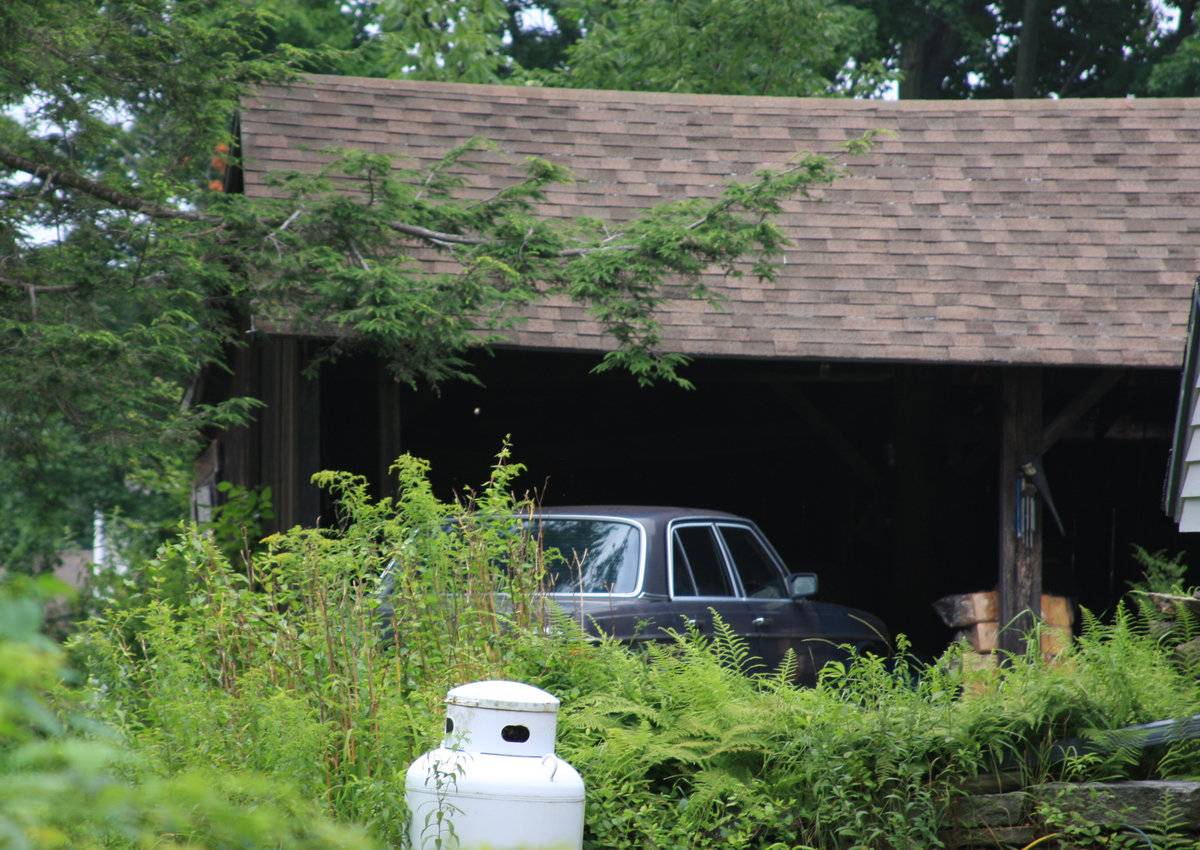 Windswept Farm (233 Ripley Hill Road, Coventry (Eastern Uplands