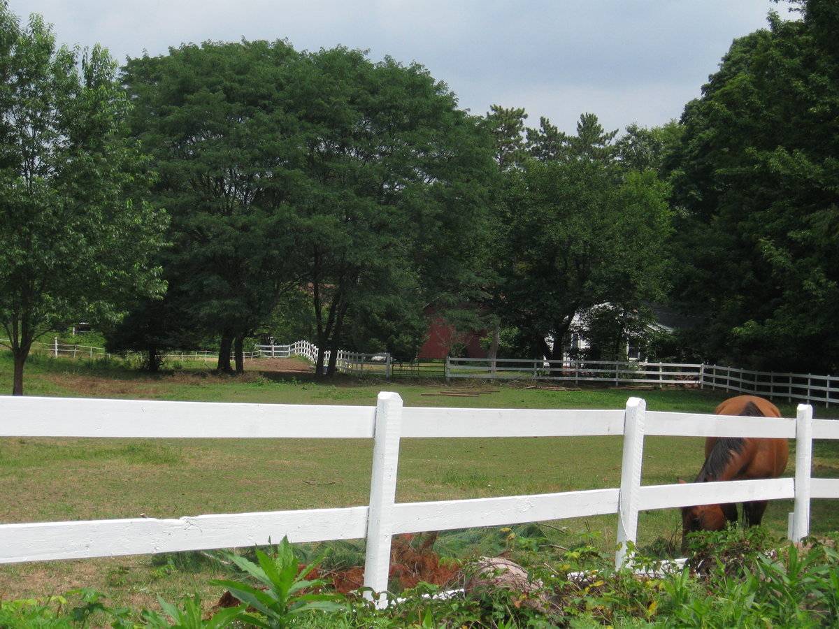 Mountain Brook Farms (808 Bethany Mountain Road (Rte 42), Cheshire
