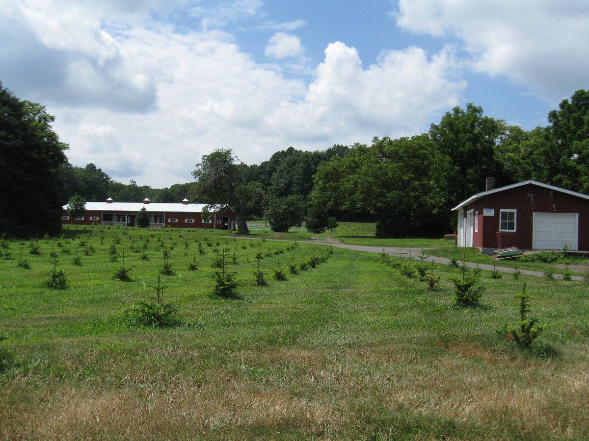 Cheshire Hollow Farm (1545 Peck Lane, Cheshire (Central Valley