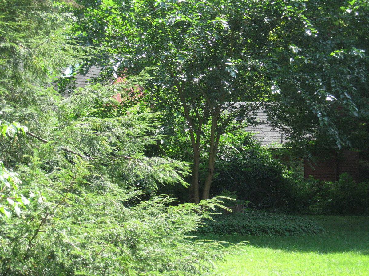Zachariah Ives House (1112 Wolf Hill Road, Cheshire (Central Valley)) Historic Barns of