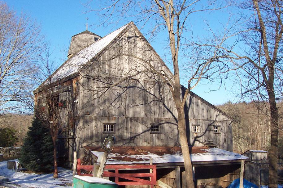 Wrights Mill Tree Farm (65 Creasy Road, Canterbury (Eastern Uplands