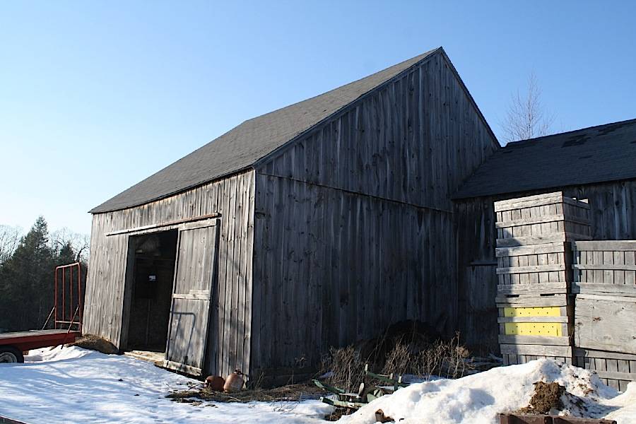 Buell's Orchards (2 of 3) (107 Crystal Pond Road, Eastford (Eastern