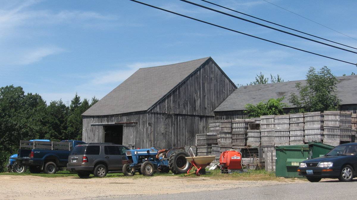 Buell's Orchards (2 of 3) (107 Crystal Pond Road, Eastford (Eastern