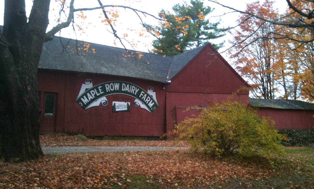 Maple Row Tree Farm (555 North Park Avenue, Easton (Western Uplands