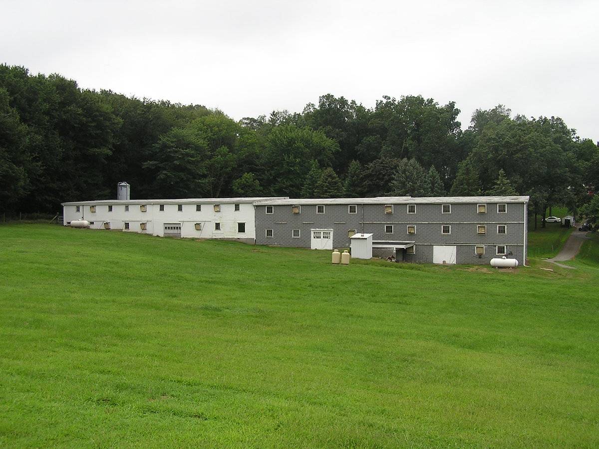 Seifert Farm (44 Upper Butcher Road, Ellington (Central Valley