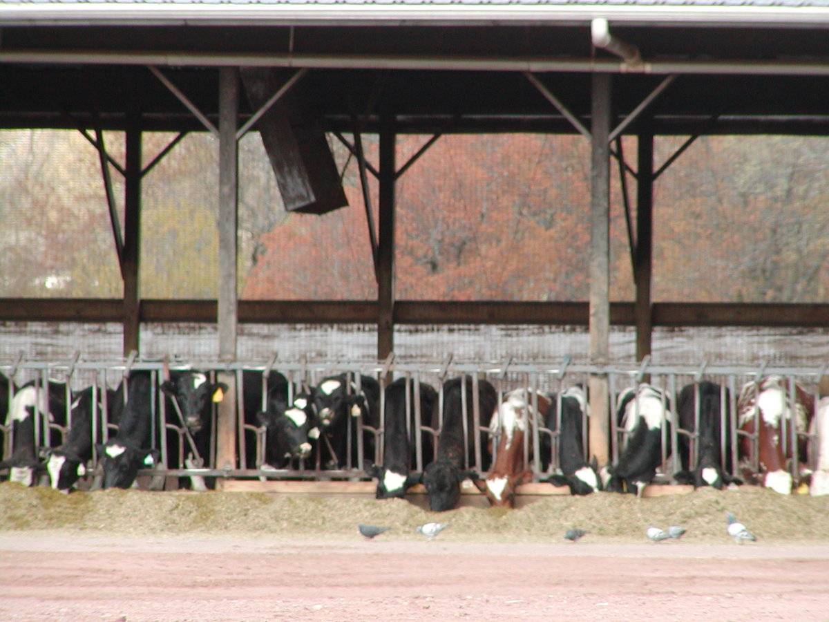 Oakridge Farms (8 Hoffman Road, Ellington (Central Valley)) Historic