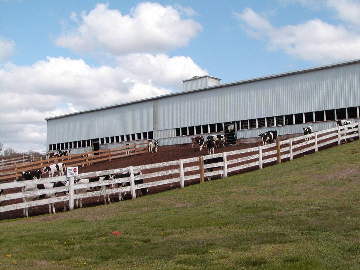 Oakridge Farms (8 Hoffman Road, Ellington (Central Valley)) Historic