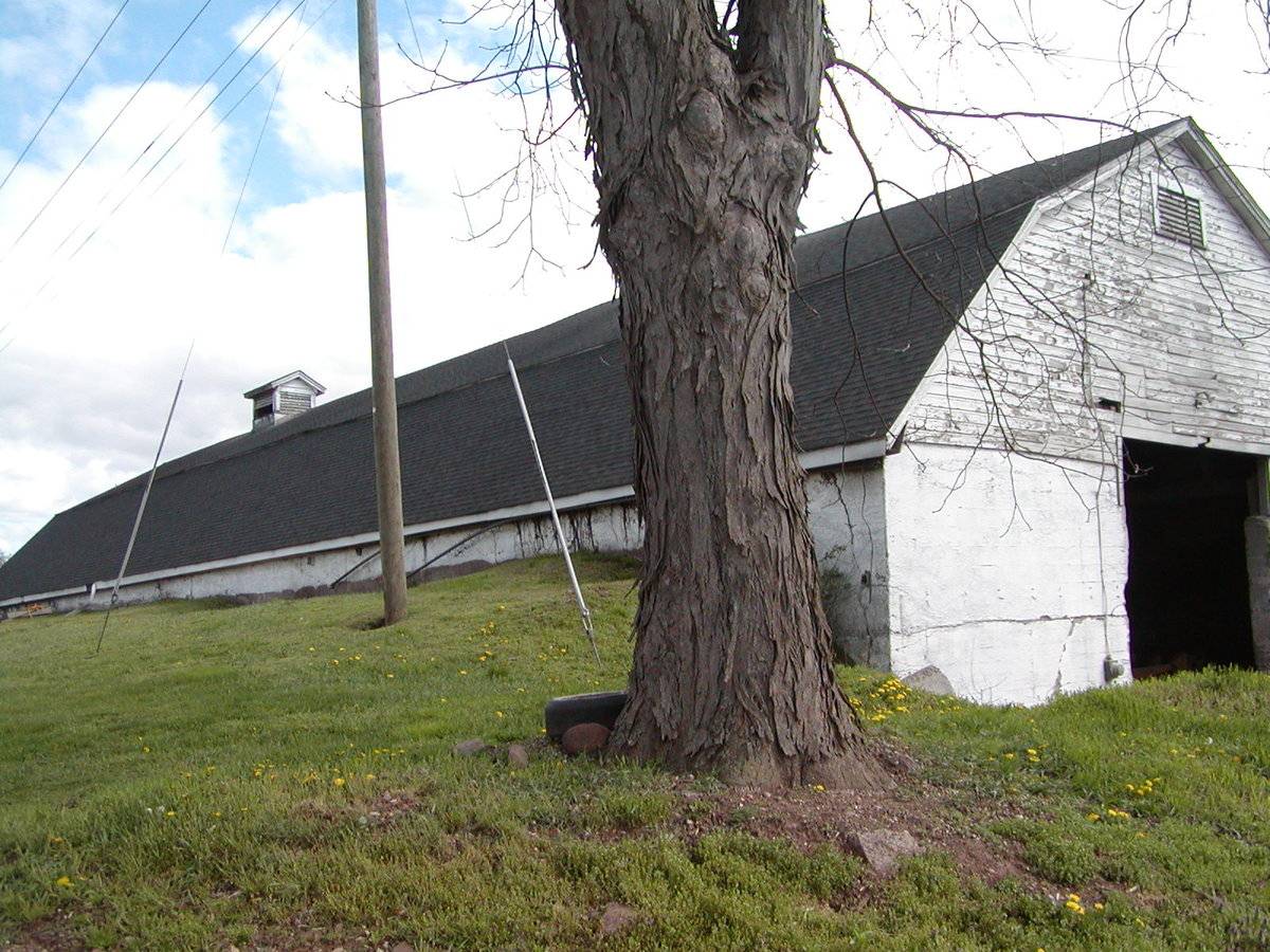 Part 2 of 2 (115 Hoffman, Ellington (Central Valley)) Historic Barns
