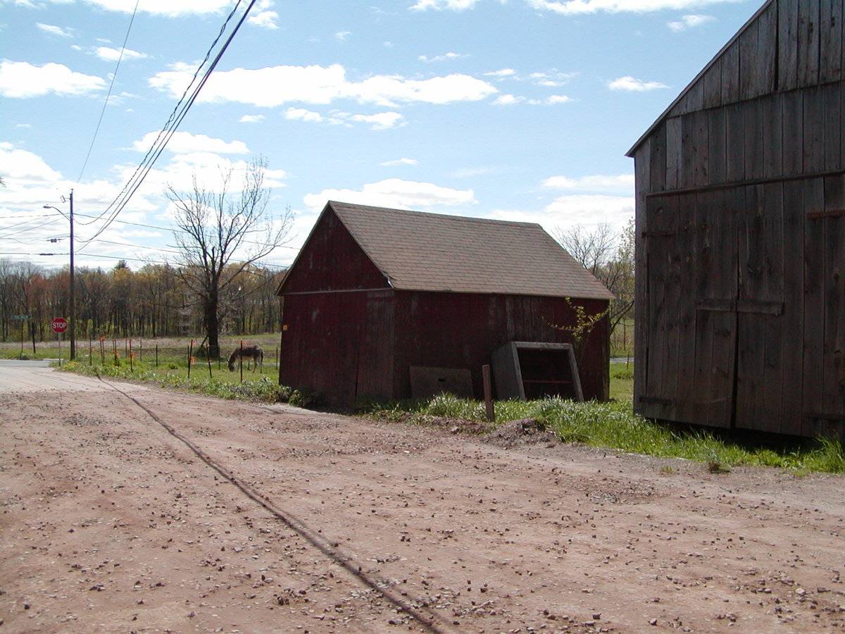 Joseph Cohen Farm Barn 1 of 3 English Barn (81 Frog Hollow Road