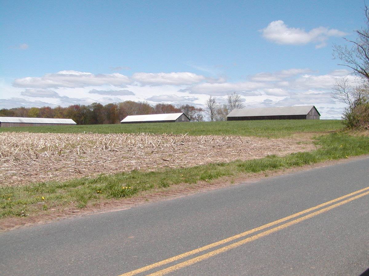 Joseph Cohen Farm 3 of 3 tobacco sheds (81 Frog Hollow Road