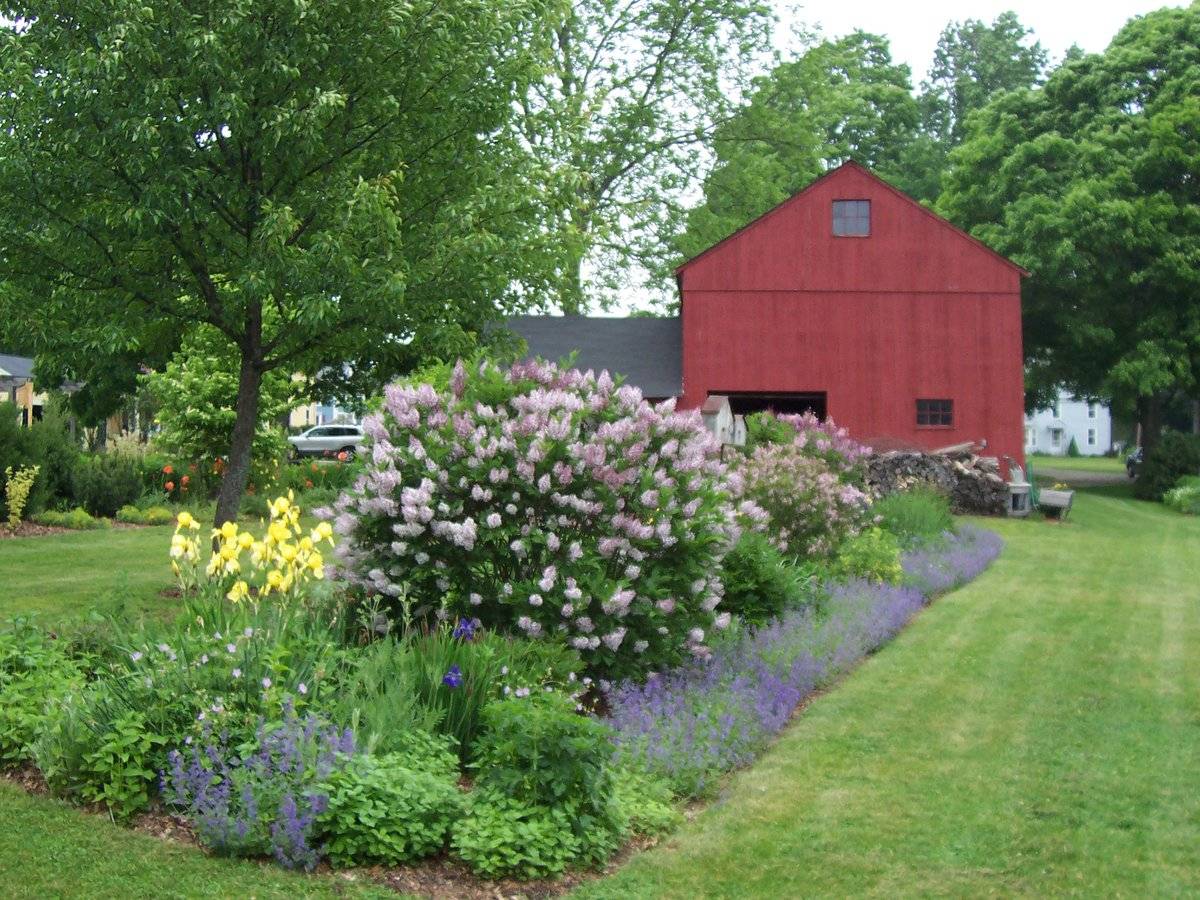 110 Main Street, Ellington (Central Valley) Historic Barns of Connecticut