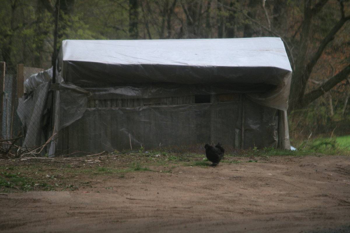 21 Abbe Road, Enfield (Central Valley) Historic Barns of Connecticut
