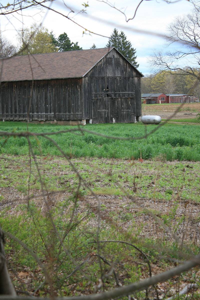 Jarmoc Farms Barn (21 Abbe Road, Enfield (Central Valley