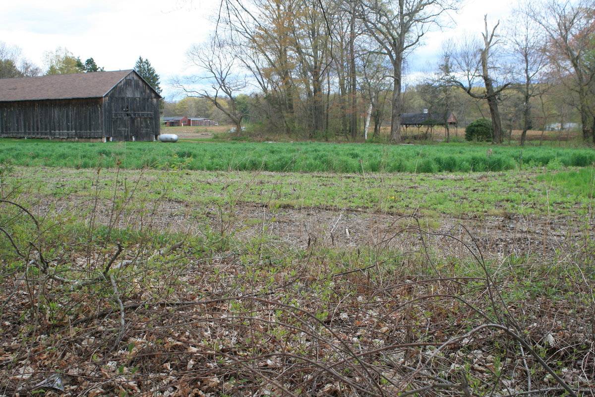 Jarmoc Farms Barn (21 Abbe Road, Enfield (Central Valley