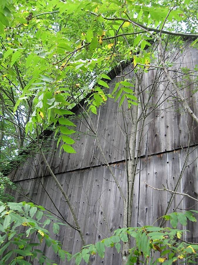 Enfield Shakers South Family (Cybulski Road, Enfield ()) Historic