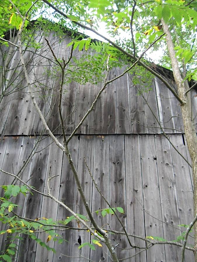 Enfield Shakers South Family (Cybulski Road, Enfield ()) Historic