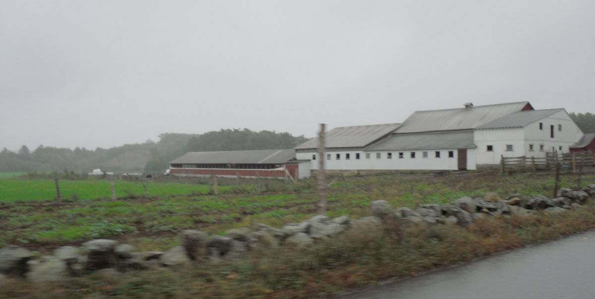 459 Bethel Road, Griswold (Eastern Uplands) Historic Barns of Connecticut