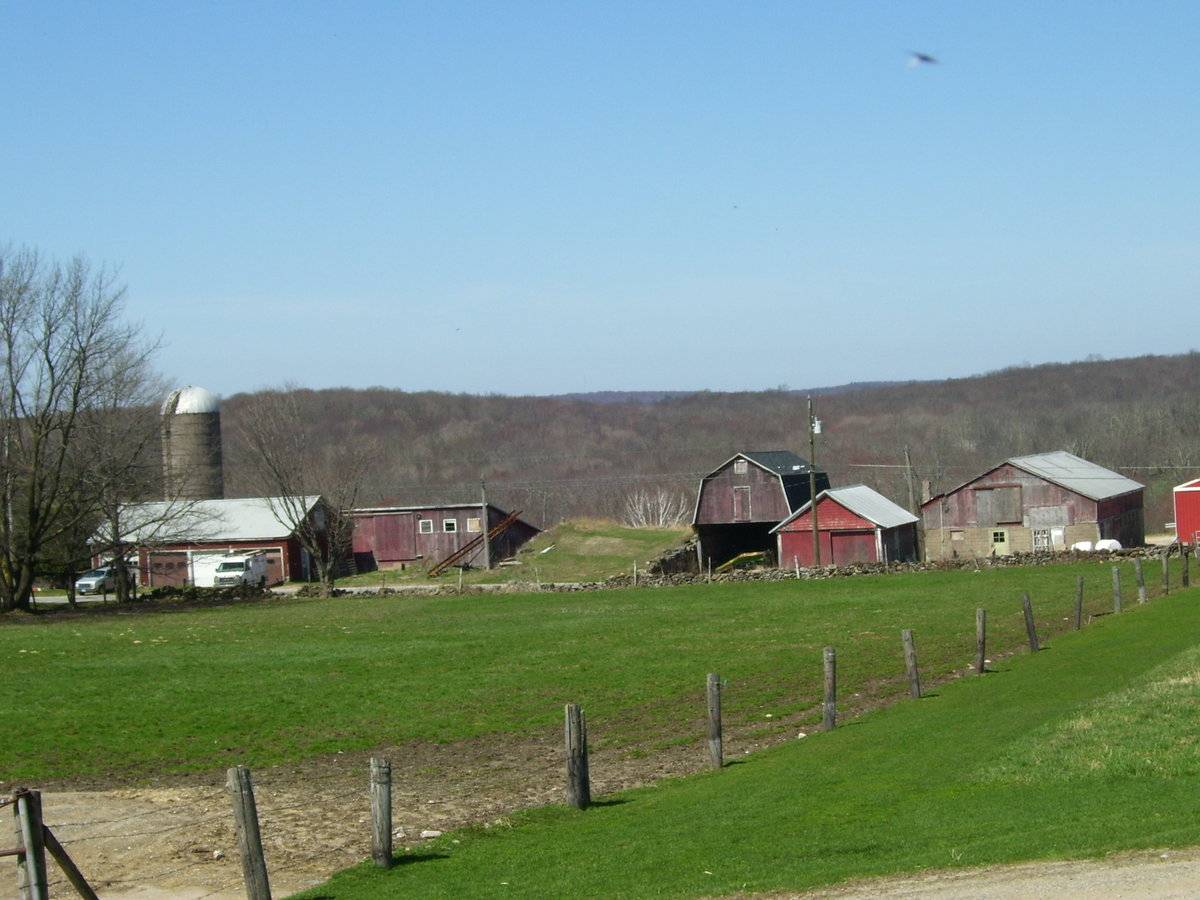 Maple Leaf Farm Part 2 of 2 (3 Hardy Road, Hebron (Eastern Uplands