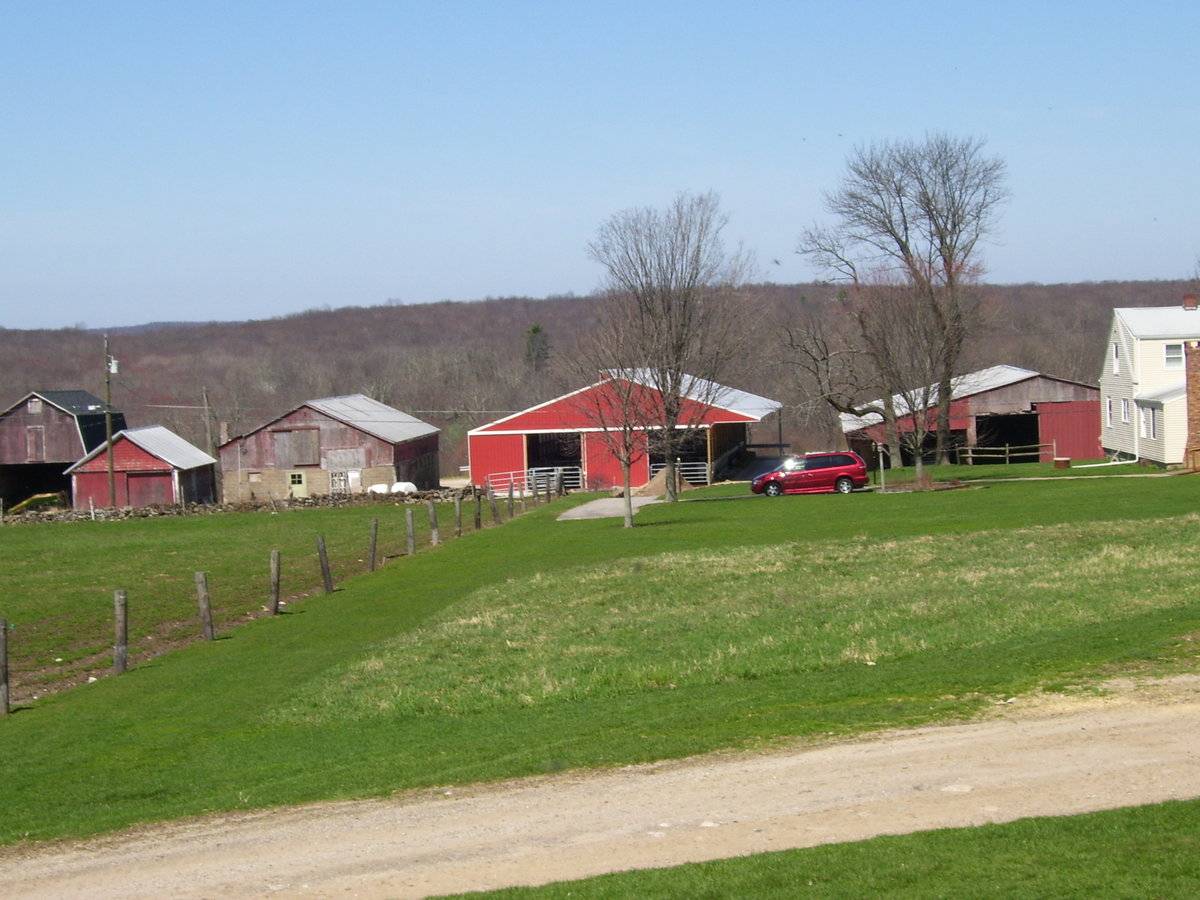 Maple Leaf Farm Part 2 of 2 (3 Hardy Road, Hebron (Eastern Uplands