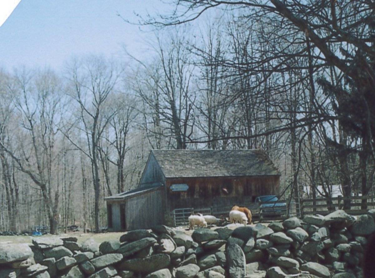 129 Schnoor Road, Killingworth (Eastern Coastal Slope) Historic Barns