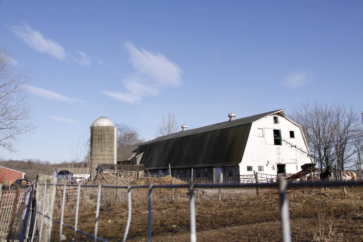 Williams Farm (234 Goshen Hill Road, Lebanon (Eastern Uplands
