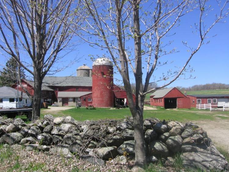 Bunnell Farm 1 of 2 (498 Maple Street, Litchfield (Northwest