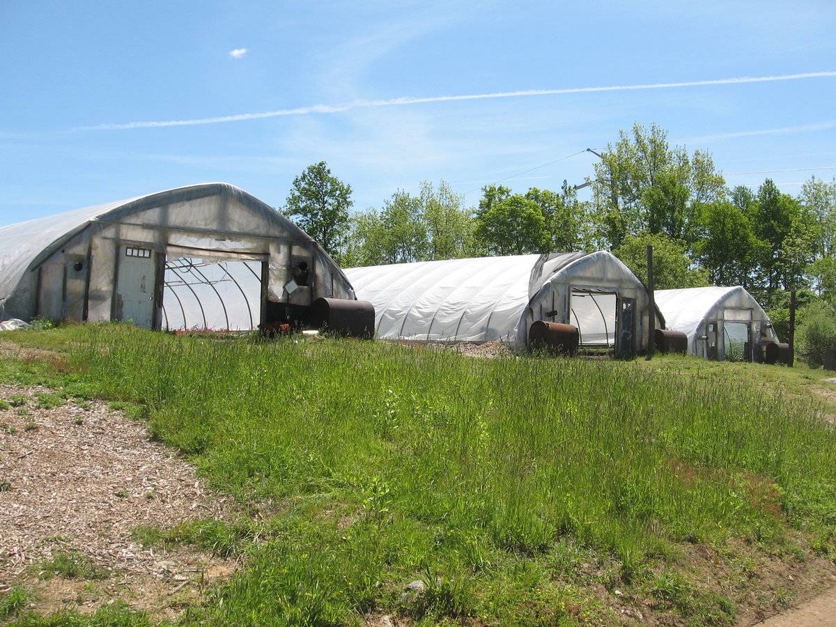 Filanowski's Farm (381 Wheelers Farms Road, Milford (Western Coastal  Slope)) | Historic Barns of Connecticut