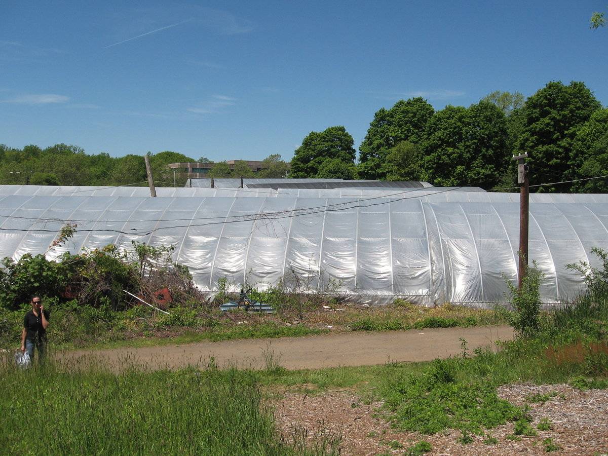 Filanowski's Farm (381 Wheelers Farms Road, Milford (Western Coastal  Slope)) | Historic Barns of Connecticut