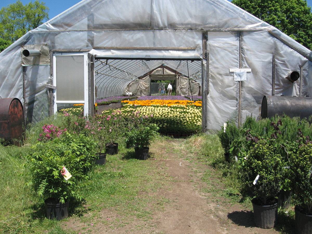 Filanowski's Farm (381 Wheelers Farms Road, Milford (Western Coastal