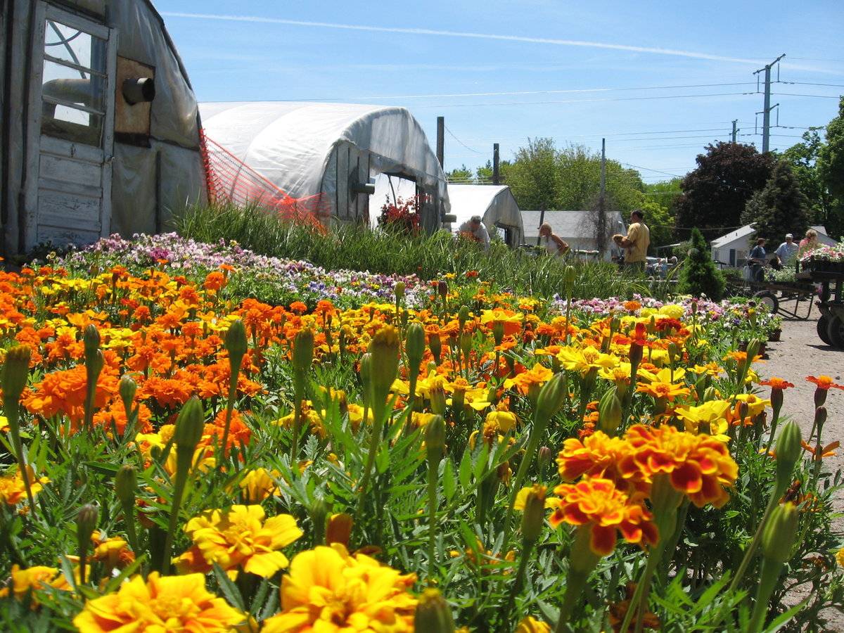 Filanowski's Farm (381 Wheelers Farms Road, Milford (Western Coastal