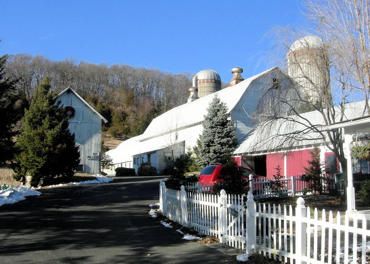 Castle Hill Farm (Part 2 of 2) (40 Sugar Lane, Newtown (Western Uplands