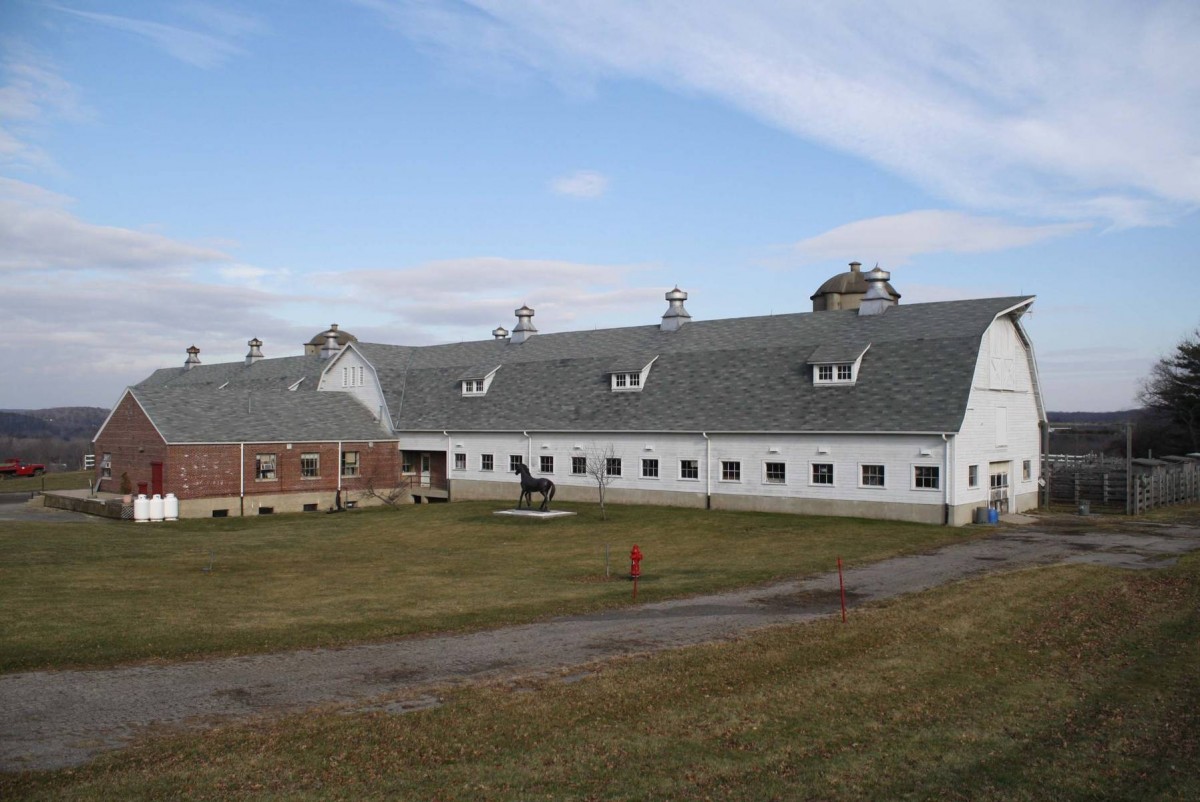 Second Company Governors Horse Guard (4 Wildlife Drive, Newtown