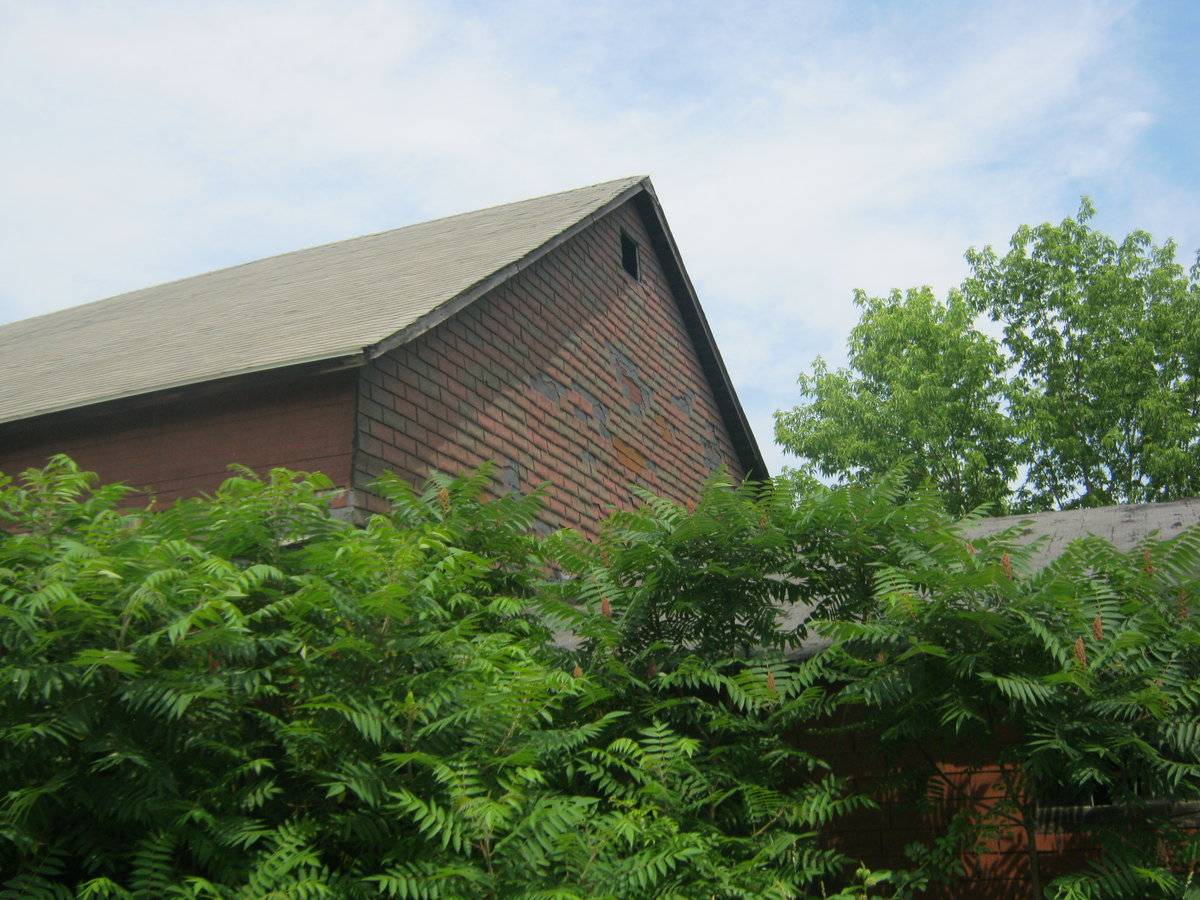 Thomas Deming House Barn (282 Church Street, Newington (Central Valley