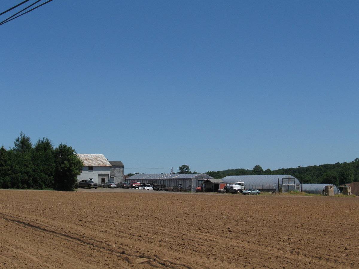 Anthony Borrelli and Sons, Inc. (95 Warner Road, North Haven (Central