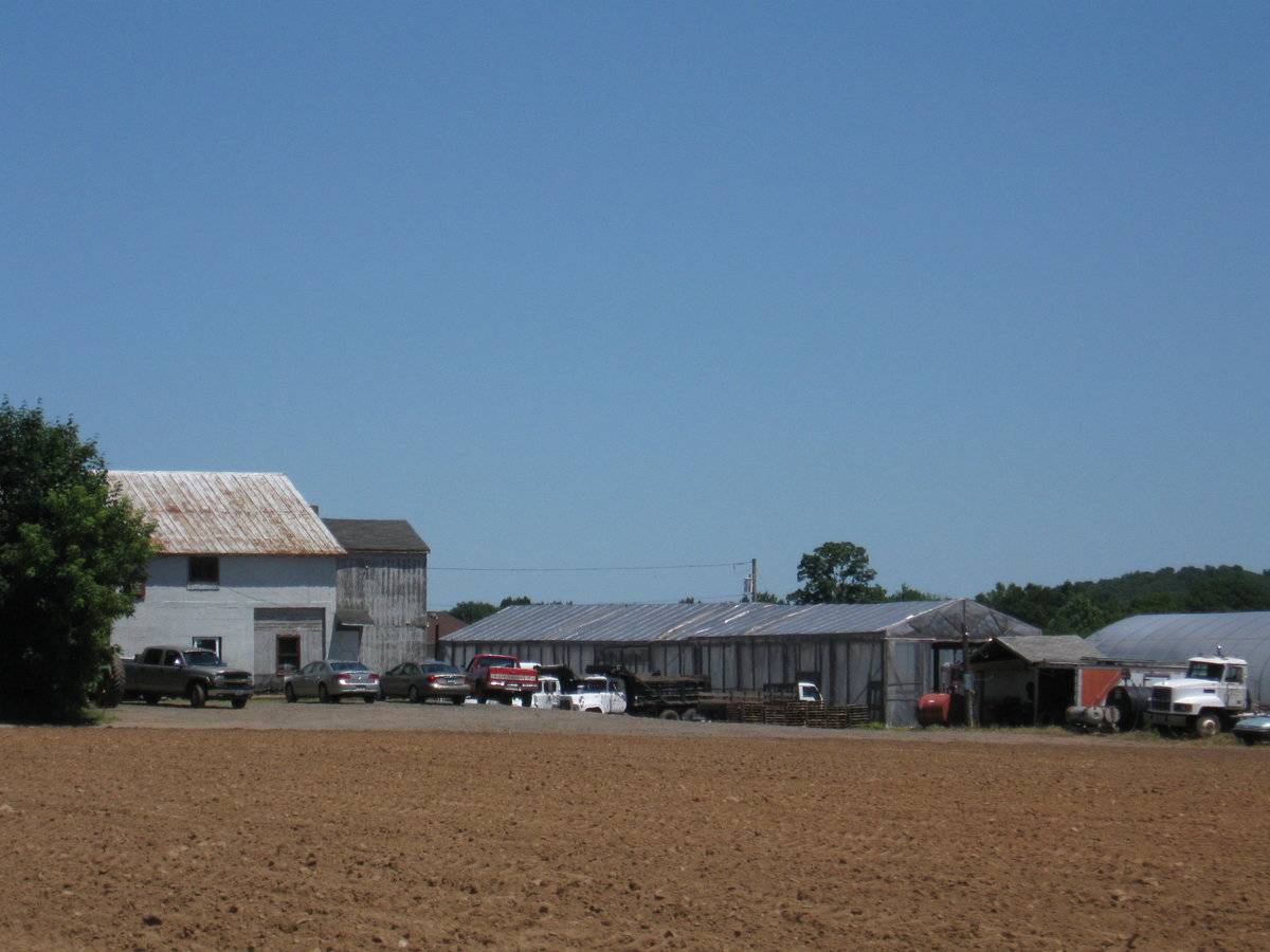 Anthony Borrelli and Sons, Inc. (95 Warner Road, North Haven (Central