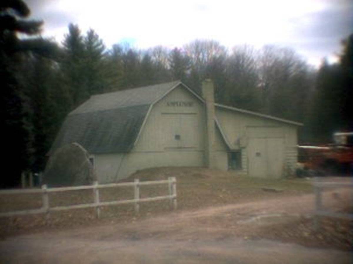 Asplundh Farm (11 Orcuttville Road (Rte 319), Stafford (Eastern Uplands
