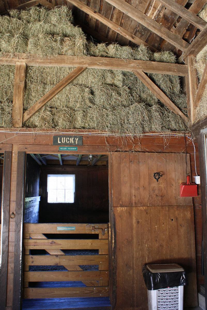 Thistledown Farm (119 Botsford Hill Road, Roxbury (Western Uplands