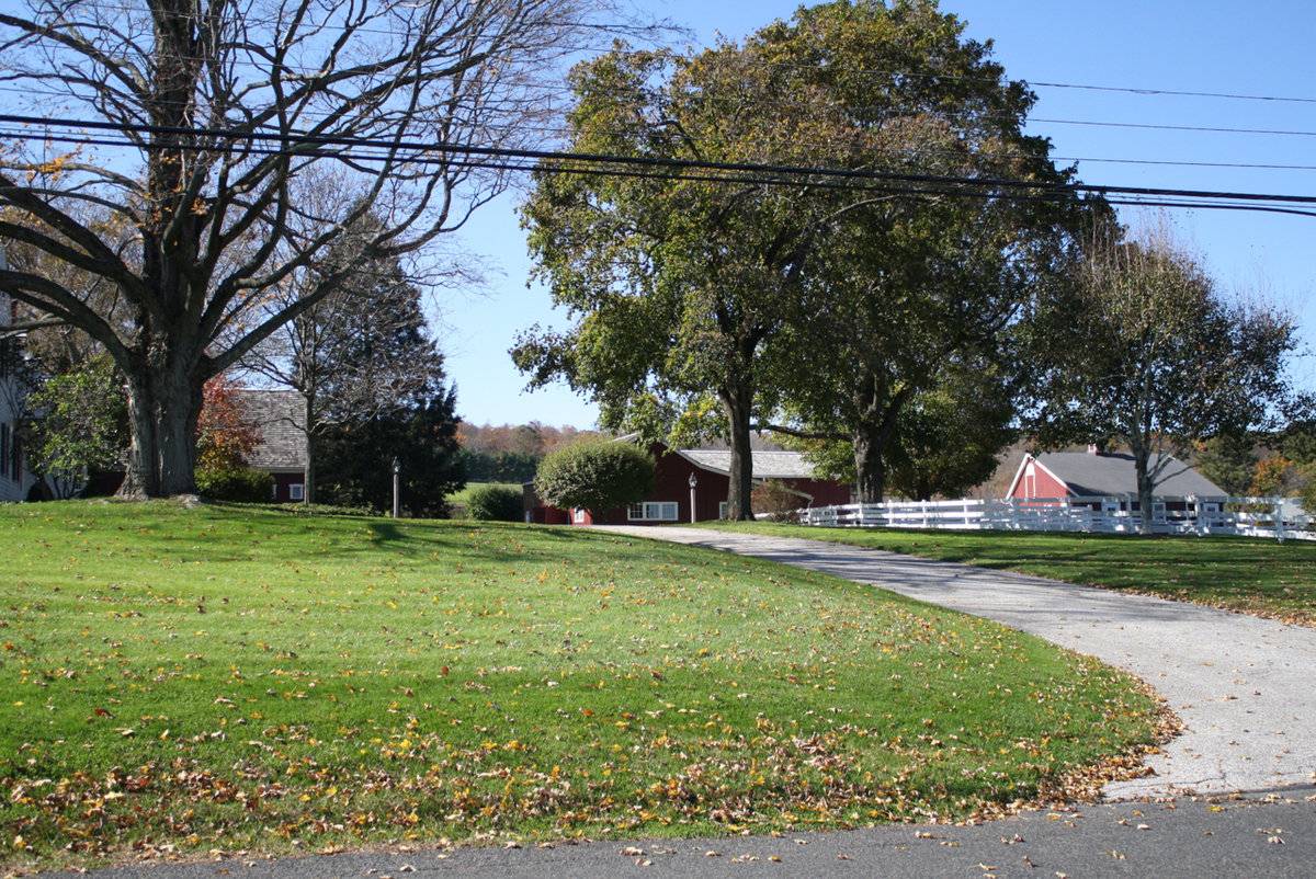 Thistledown Farm (119 Botsford Hill Road, Roxbury (Western Uplands