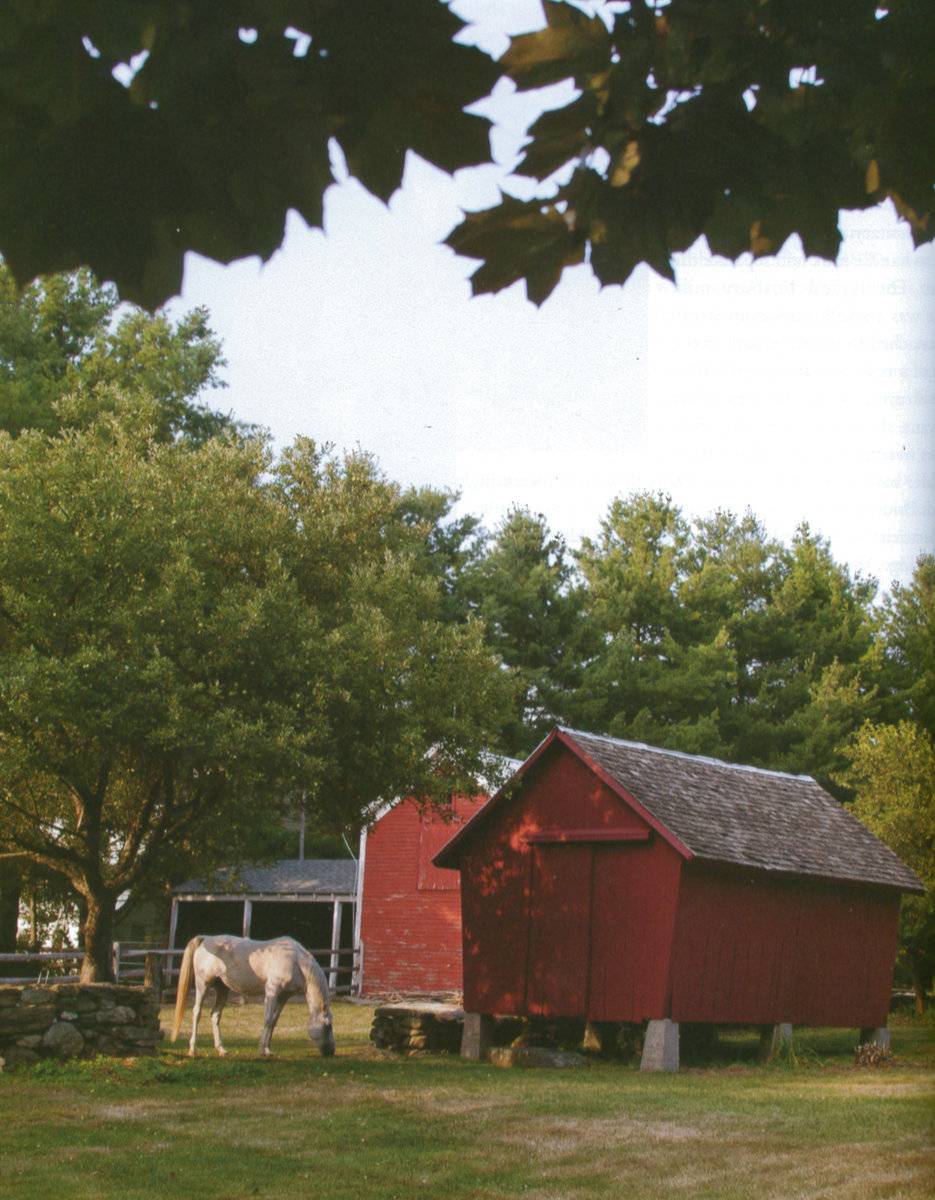 Wagner Farm (36 Rucum Road, Roxbury (Western Uplands)) Historic Barns