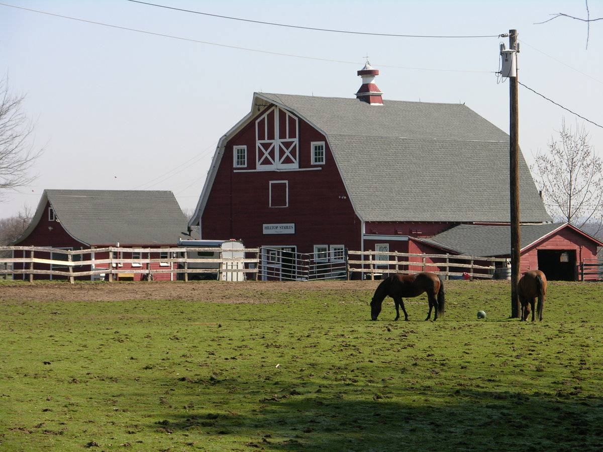 Hilltop Stables (1550 Mapleton Avenue, Suffield (Central Valley