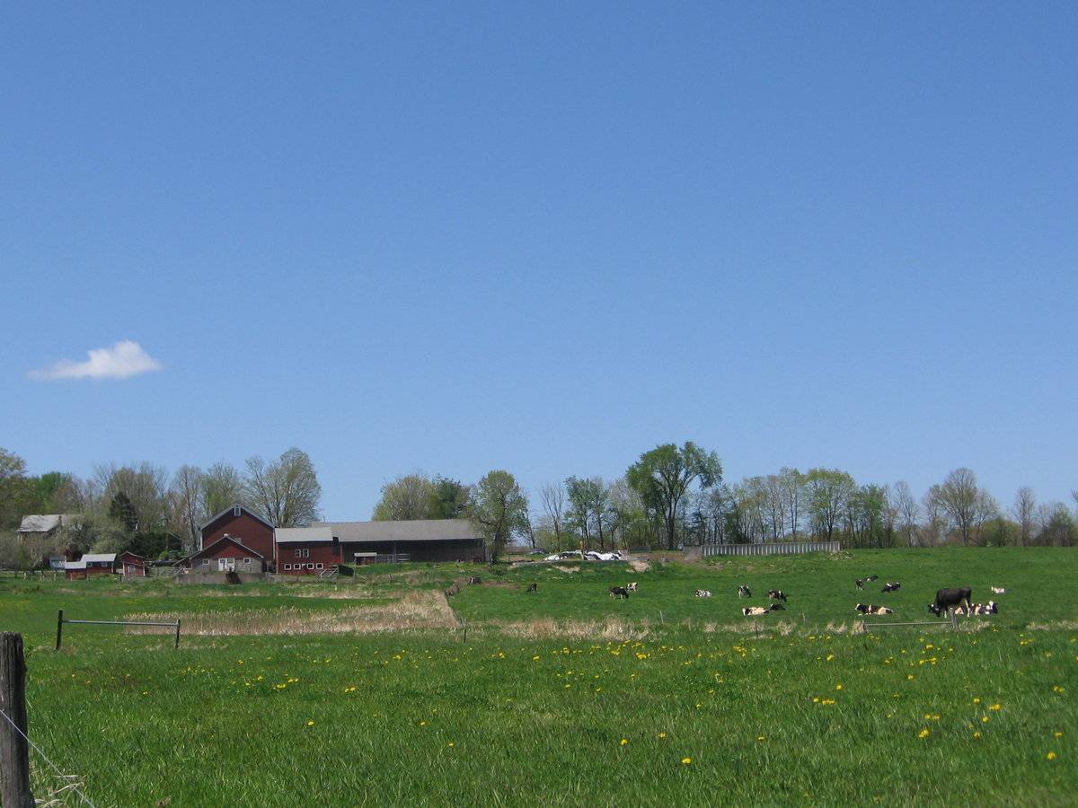 Coulter Homestead (788 Taintor Street, Suffield (Central Valley